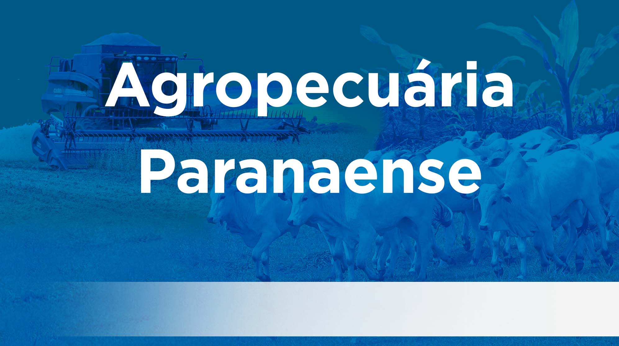Agropecuária Paranaense